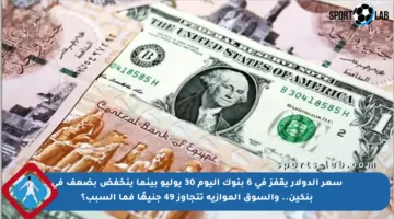 سعر الدولار يقفز في 6 بنوك اليوم 30 يوليو بينما ينخفض بضعف في بنكين.. والسوق الموازية تتجاوز 49 جنيهًا فما السبب؟